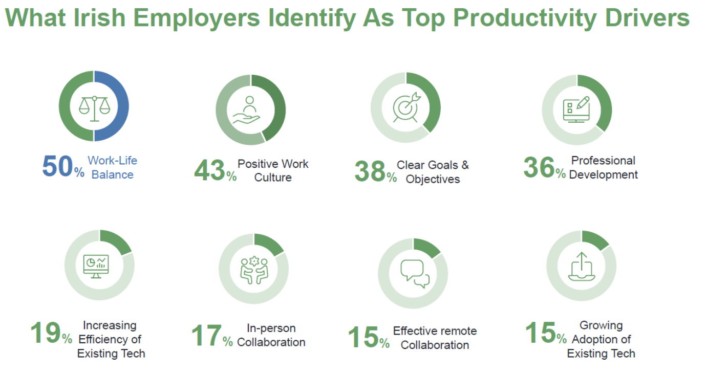 Top Productivity Drivers by Area